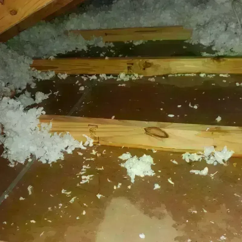 Attic Water Damage in South Shore, KY